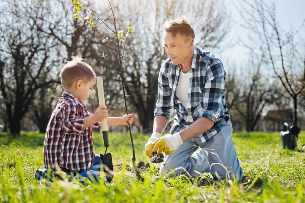 Pai e filho plantando uma árvore